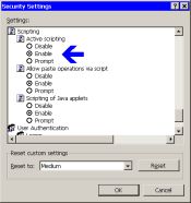 IE - Internet Security Settings